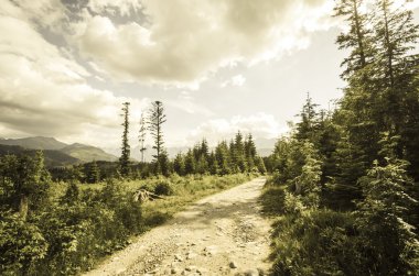 Dağlardaki köy yolu.