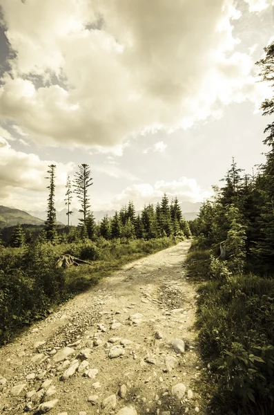 Droga wiejska w górach — Zdjęcie stockowe