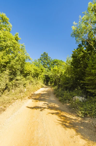 Ülke Yolu — Stok fotoğraf