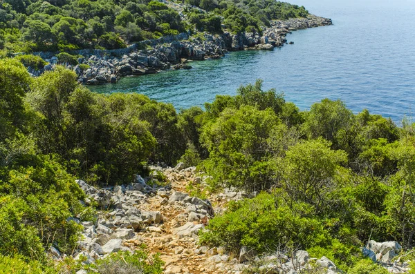 Belle côte de mer exotique — Photo