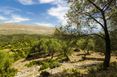 Arnavut Dağları görüntülemek