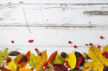 sonbahar yaprakları arka plan