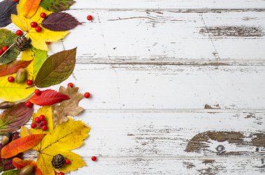 sonbahar yaprakları arka plan