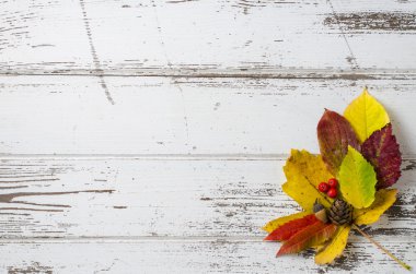 sonbahar yaprakları arka plan