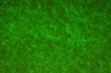 Yeşil doku veya arka plan