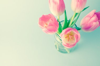 Kavanoz içinde güzel pembe laleler