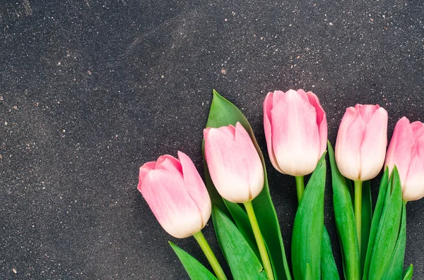 Tulipani Rosa Sfondo Scuro — Foto Stock