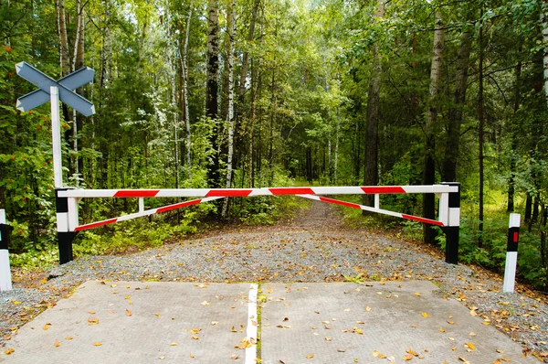 Yalnız orman yolu boyunca bir bariyer