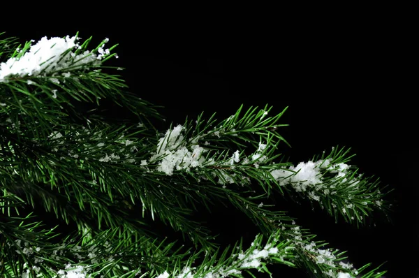 Wenige Tannenzweige Mit Kunstschnee Nahsicht Auf Dunklem Hintergrund — Stockfoto