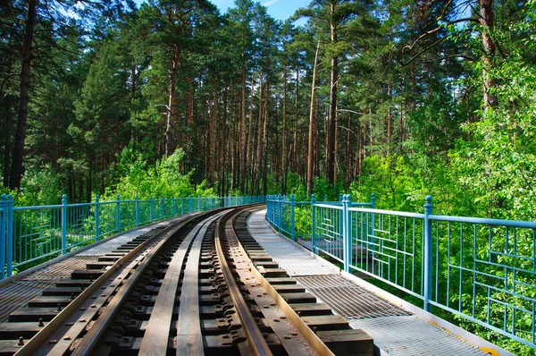 숲에 있는 철도 — 스톡 사진