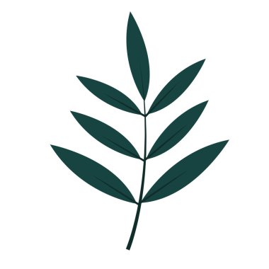 Düz yeşil yaprak simgesi. Kartpostallar, posterler ve selamlar için doğal yaprak tasarımı öğesi. Beyaz bir arka planda izole edilmiş. Doodle vektör illüstrasyonu.