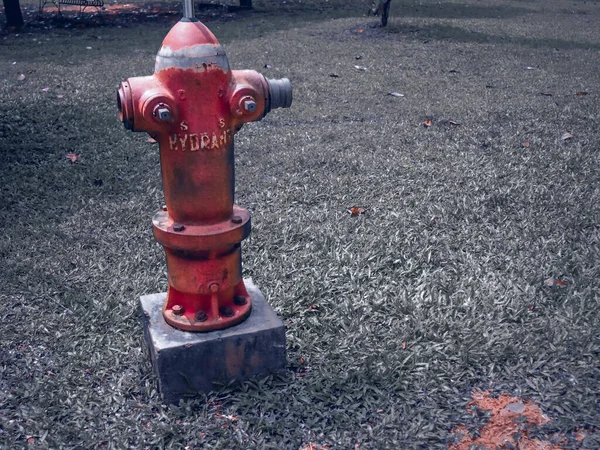 Red Hydrant Garden — Stock Photo, Image