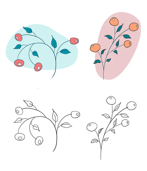 Vector flat flowers, leaves and berries color silhouette background. Creative design illustration for stickers, labels, tags, greeting cards, posters and banner design — Stock Vector