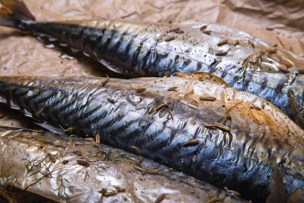 Baked mackerel with lemon — Stock Photo, Image