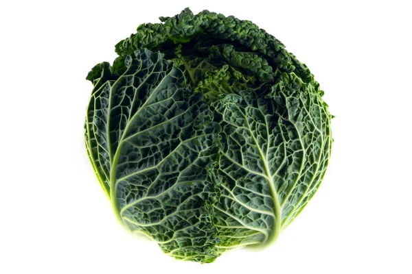 Savoy cabbage on white background — Stock Photo, Image