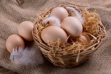 çiftlik taze yumurta