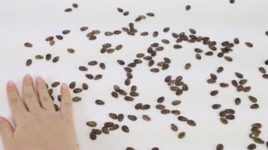 Bir şişe karpuz tohumu yağı, bir tohumun şişeye düşüşünün yakın çekimi.