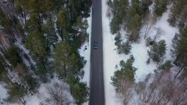 Drohne Fliegt Über Verschneiten Wald Und Ein Auto Fährt Vorbei — Stockvideo