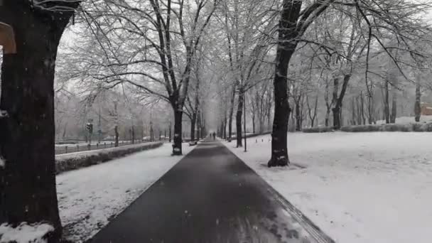 Spaziergang Park Auf Einem Wanderweg Unter Dem Schnee Winter Schneetreiben — Stockvideo