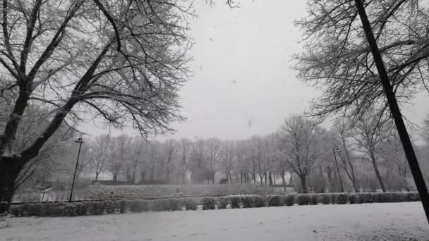 Panoramiczny Widok Śnieżną Pogodę Pada Śnieg Parku Śnieżny Szlak — Wideo stockowe