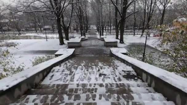 Красивий Вид Сніжний Парк Закритий Снігом Парк Камера Піднімається Сходах — стокове відео