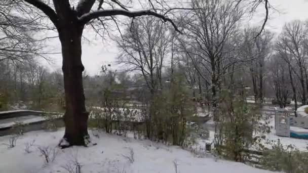 Caminar Por Parque Una Ruta Senderismo Bajo Nieve Invierno Nevando — Vídeos de Stock