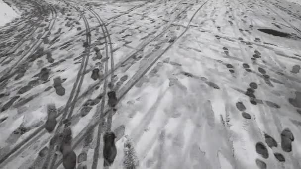 Панорамный Вид Снежную Погоду Снег Парке Снежная Тропа — стоковое видео