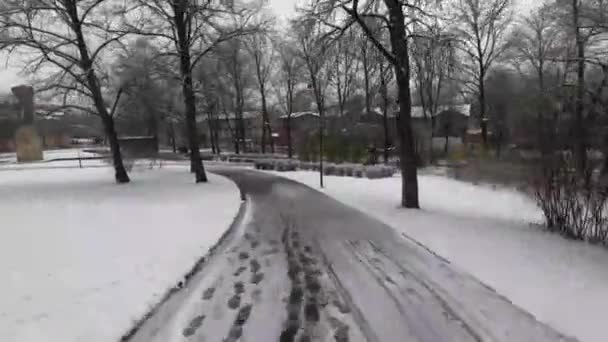 Περπατήστε Στο Πάρκο Ένα Μονοπάτι Πεζοπορίας Κάτω Από Χιόνι Χειμώνα — Αρχείο Βίντεο