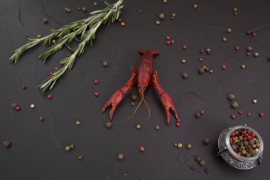 Lezzetli haşlanmış kerevit yakından, biber, limon ve maydanozlu. Metnin için boş yer. Koyu arkaplan