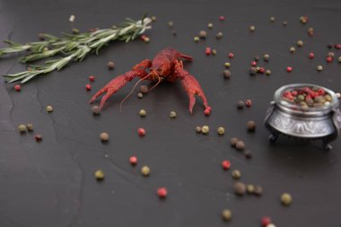 Lezzetli haşlanmış kerevit yakından, biber, limon ve maydanozlu. Metnin için boş yer. Koyu arkaplan