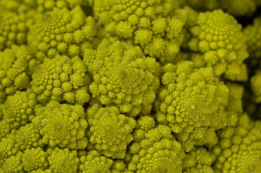 Soyut yeşil arka plan, Romanesco brokoli, yakın plan, arka plan ve dokular.