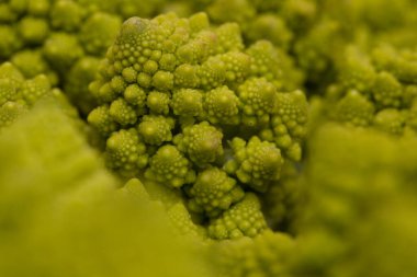 Soyut yeşil arka plan, Romanesco brokoli, yakın plan, arka plan ve dokular.