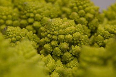 Soyut yeşil arka plan, Romanesco brokoli, yakın plan, arka plan ve dokular.