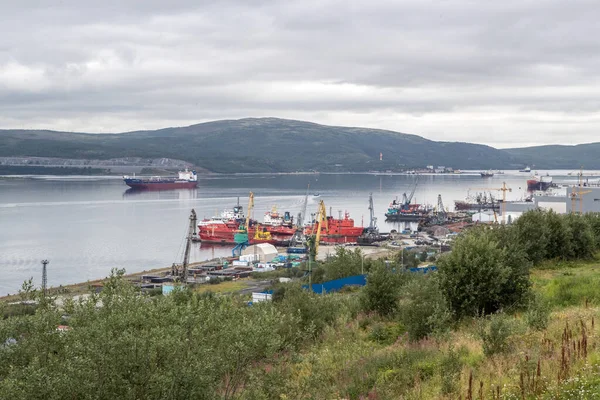 Murmansk - şehrin hava manzarası ve manzarası