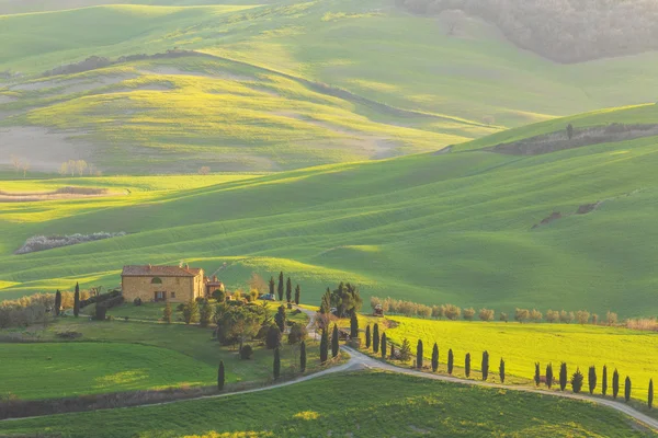 Toskana puslu gündoğumu