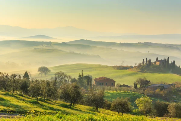 Misty sunrise in Tuscany — Stock Photo, Image