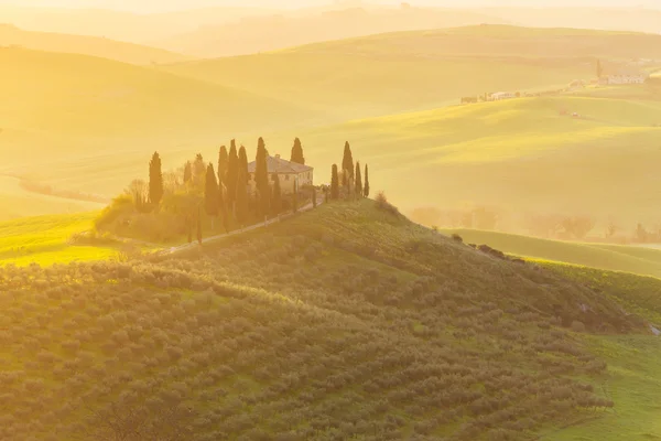 Dimmiga soluppgång i Toscana — Stockfoto