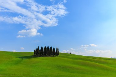 Val d'orcia peyzaj