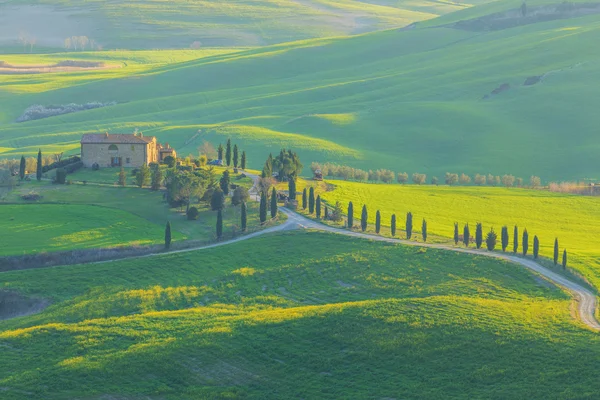 Val d'orcia landscape — Stock Photo, Image