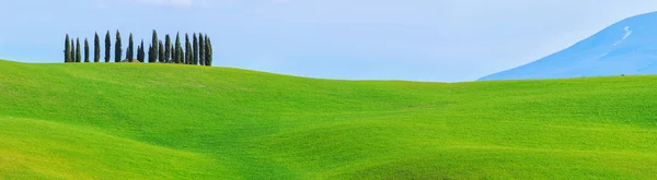 Val d'orcia landskap — Stockfoto