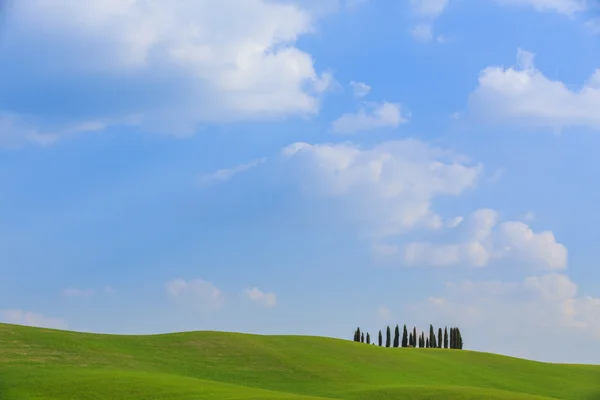 Val d'orcia landskap — Stockfoto