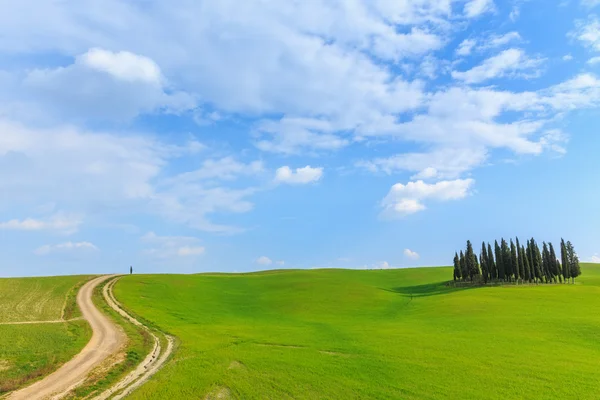 Val d'orcia landskap — Stockfoto