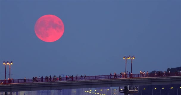 Volle Maan Komt Voetgangersbrug Met Nachts Kiev Stad Oekraïne — Stockvideo