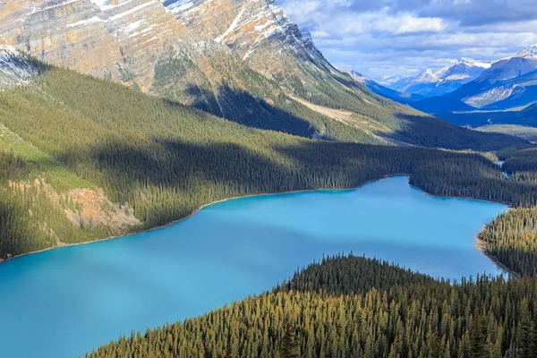 Peyto lago — Fotografia de Stock