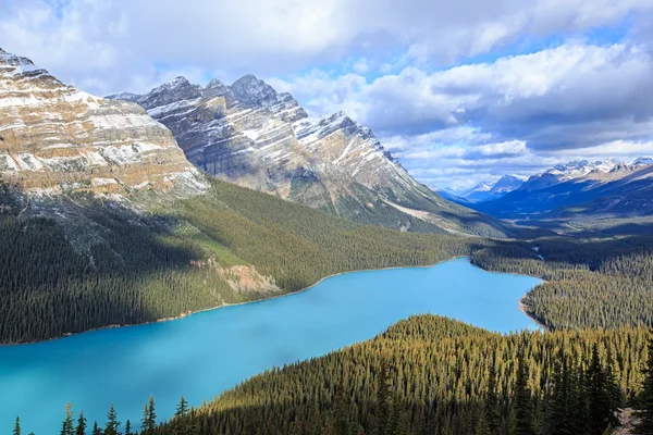 Peyto lago — Fotografia de Stock