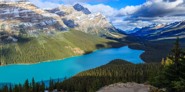 Peyto lago — Fotografia de Stock