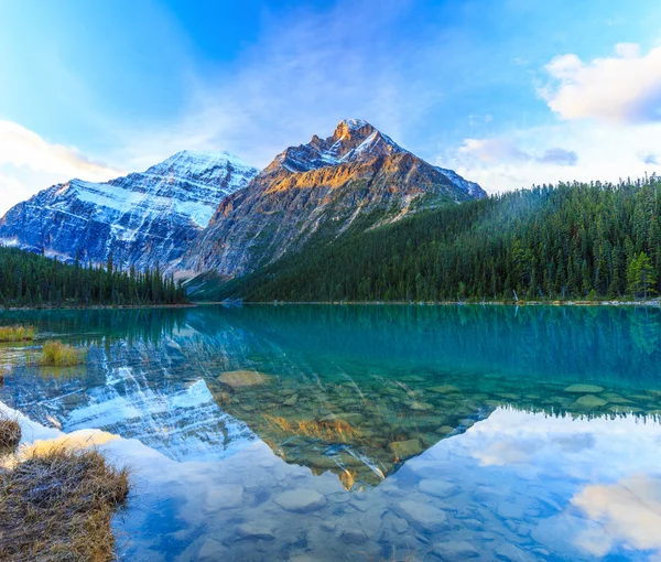 Edith Cavell Lake — Fotografia de Stock