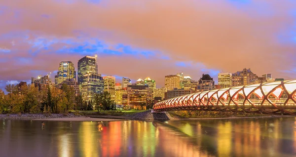 Calgary in der Nacht — Stockfoto