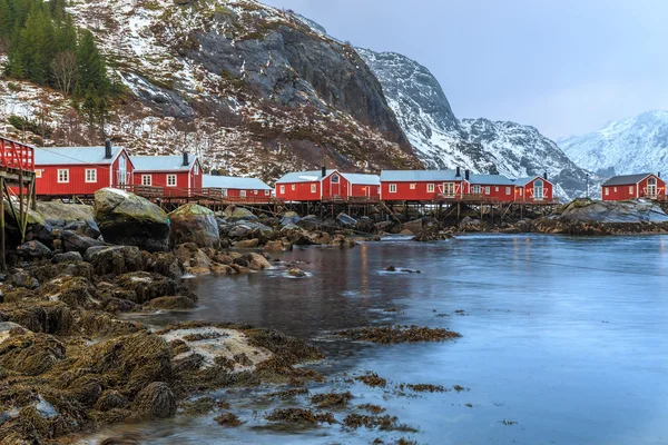 Nusfjord — Stok fotoğraf