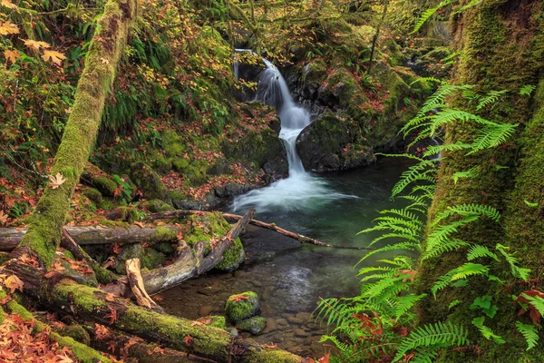 Cascada en el Parque Nacional Olímpico, Washington, EE.UU. —  Fotos de Stock